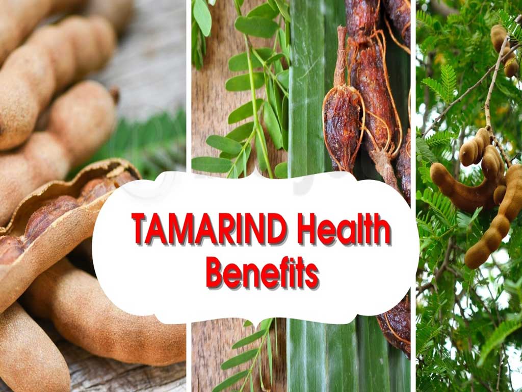 Tamarind Do You Really Need It Health Benefits Tamarind Do You Really Need It Health Benefits